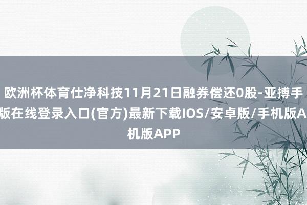 欧洲杯体育仕净科技11月21日融券偿还0股-亚搏手机版在线登录入口(官方)最新下载IOS/安卓版/手机版APP