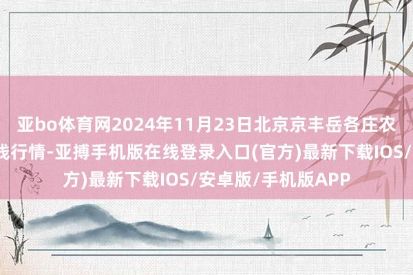 亚bo体育网2024年11月23日北京京丰岳各庄农副家具批发阛阓价钱行情-亚搏手机版在线登录入口(官方)最新下载IOS/安卓版/手机版APP