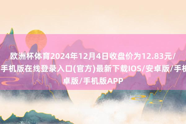 欧洲杯体育2024年12月4日收盘价为12.83元/股-亚搏手机版在线登录入口(官方)最新下载IOS/安卓版/手机版APP