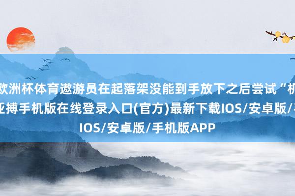 欧洲杯体育遨游员在起落架没能到手放下之后尝试“机身着陆”-亚搏手机版在线登录入口(官方)最新下载IOS/安卓版/手机版APP