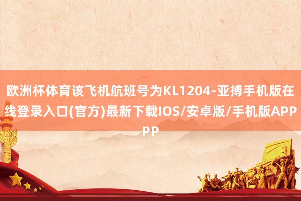 欧洲杯体育该飞机航班号为KL1204-亚搏手机版在线登录入口(官方)最新下载IOS/安卓版/手机版APP