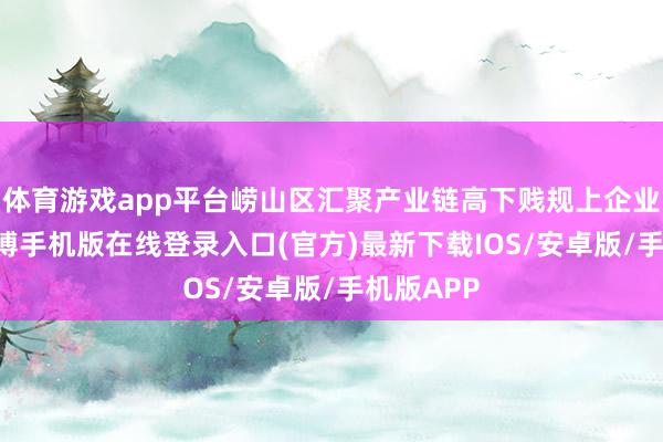 体育游戏app平台崂山区汇聚产业链高下贱规上企业29家-亚搏手机版在线登录入口(官方)最新下载IOS/安卓版/手机版APP