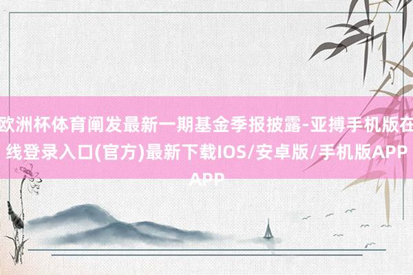 欧洲杯体育阐发最新一期基金季报披露-亚搏手机版在线登录入口(官方)最新下载IOS/安卓版/手机版APP