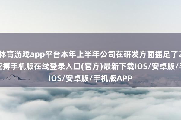 体育游戏app平台本年上半年公司在研发方面插足了2.42亿元-亚搏手机版在线登录入口(官方)最新下载IOS/安卓版/手机版APP