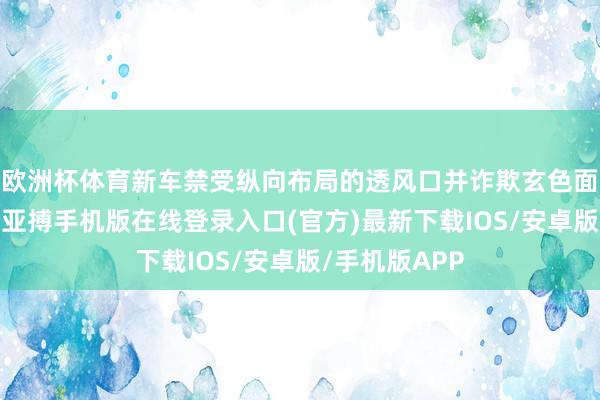 欧洲杯体育新车禁受纵向布局的透风口并诈欺玄色面板进行瞎想-亚搏手机版在线登录入口(官方)最新下载IOS/安卓版/手机版APP
