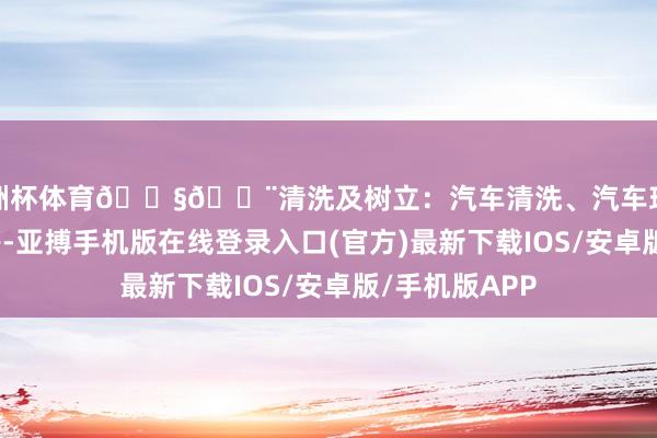 欧洲杯体育🔧🎨清洗及树立：汽车清洗、汽车珍摄、汽车树立等-亚搏手机版在线登录入口(官方)最新下载IOS/安卓版/手机版APP
