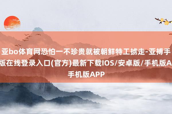 亚bo体育网恐怕一不珍贵就被朝鲜特工掳走-亚搏手机版在线登录入口(官方)最新下载IOS/安卓版/手机版APP