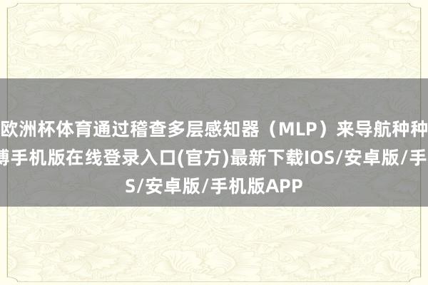 欧洲杯体育通过稽查多层感知器（MLP）来导航种种环境-亚搏手机版在线登录入口(官方)最新下载IOS/安卓版/手机版APP