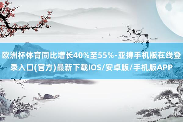 欧洲杯体育同比增长40%至55%-亚搏手机版在线登录入口(官方)最新下载IOS/安卓版/手机版APP