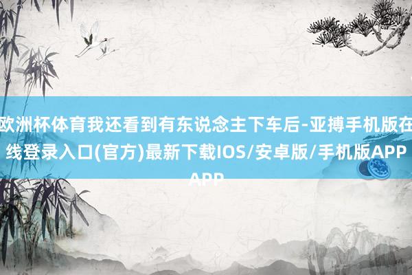 欧洲杯体育我还看到有东说念主下车后-亚搏手机版在线登录入口(官方)最新下载IOS/安卓版/手机版APP