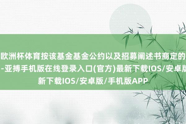 欧洲杯体育按该基金基金公约以及招募阐述书商定的认购费率贪图-亚搏手机版在线登录入口(官方)最新下载IOS/安卓版/手机版APP