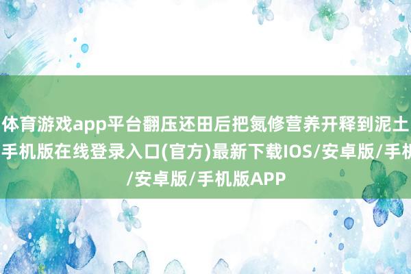 体育游戏app平台翻压还田后把氮修营养开释到泥土里-亚搏手机版在线登录入口(官方)最新下载IOS/安卓版/手机版APP