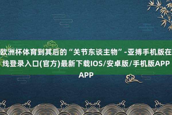 欧洲杯体育到其后的“关节东谈主物”-亚搏手机版在线登录入口(官方)最新下载IOS/安卓版/手机版APP