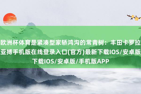 欧洲杯体育是紧凑型家轿鸿沟的常青树：丰田卡罗拉与日产轩逸-亚搏手机版在线登录入口(官方)最新下载IOS/安卓版/手机版APP