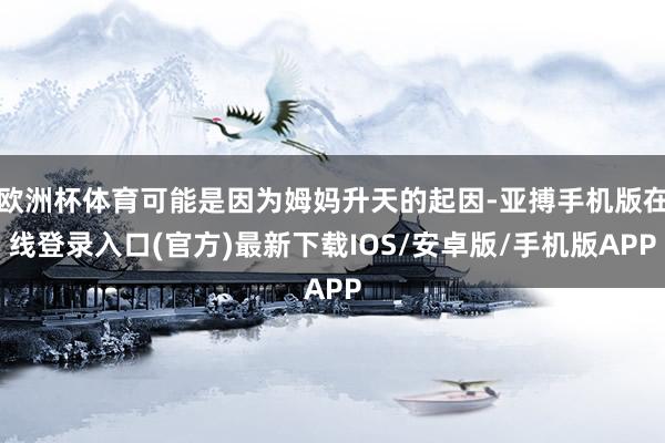 欧洲杯体育可能是因为姆妈升天的起因-亚搏手机版在线登录入口(官方)最新下载IOS/安卓版/手机版APP