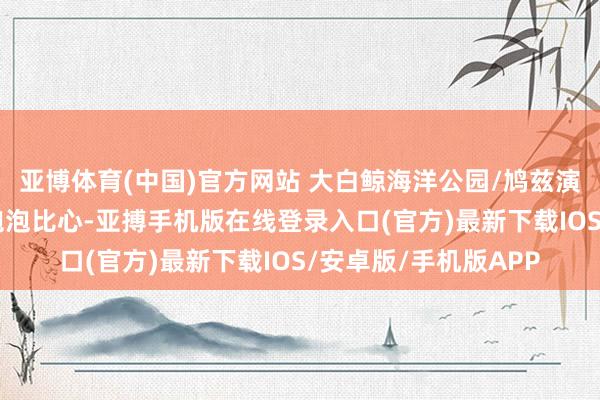 亚博体育(中国)官方网站 大白鲸海洋公园/鸠兹演艺小镇 大白鲸吐着泡泡比心-亚搏手机版在线登录入口(官方)最新下载IOS/安卓版/手机版APP