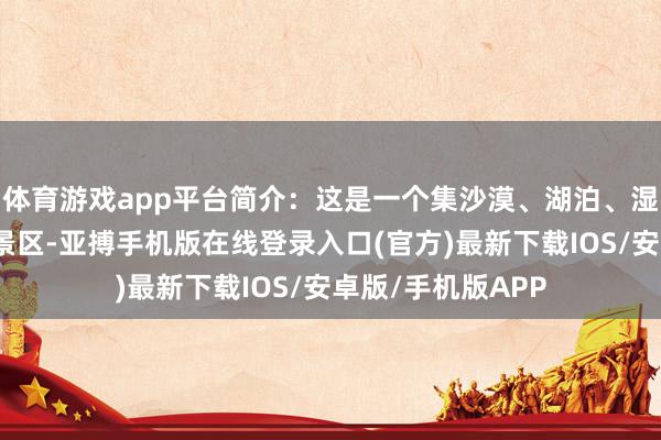 体育游戏app平台简介：这是一个集沙漠、湖泊、湿地为一体的当然景区-亚搏手机版在线登录入口(官方)最新下载IOS/安卓版/手机版APP