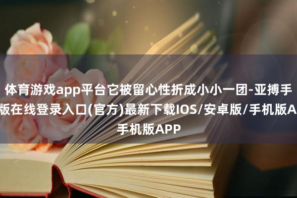 体育游戏app平台它被留心性折成小小一团-亚搏手机版在线登录入口(官方)最新下载IOS/安卓版/手机版APP