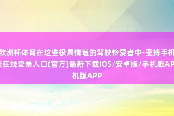 欧洲杯体育在这些极具情谊的驾驶怜爱者中-亚搏手机版在线登录入口(官方)最新下载IOS/安卓版/手机版APP