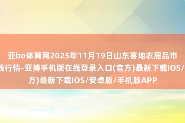 亚bo体育网2025年11月19日山东喜地农居品市集惩办有限公司价钱行情-亚搏手机版在线登录入口(官方)最新下载IOS/安卓版/手机版APP