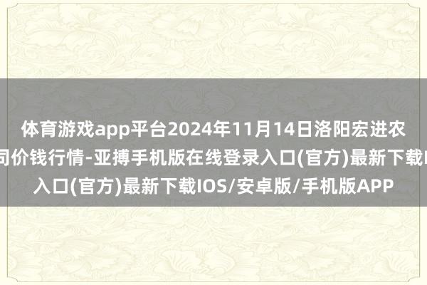 体育游戏app平台2024年11月14日洛阳宏进农副产物批发市集有限公司价钱行情-亚搏手机版在线登录入口(官方)最新下载IOS/安卓版/手机版APP