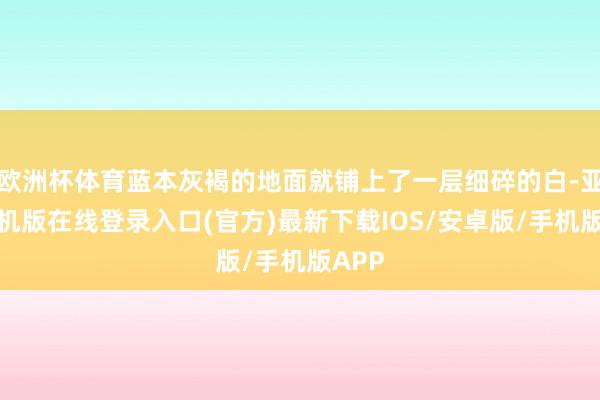 欧洲杯体育蓝本灰褐的地面就铺上了一层细碎的白-亚搏手机版在线登录入口(官方)最新下载IOS/安卓版/手机版APP