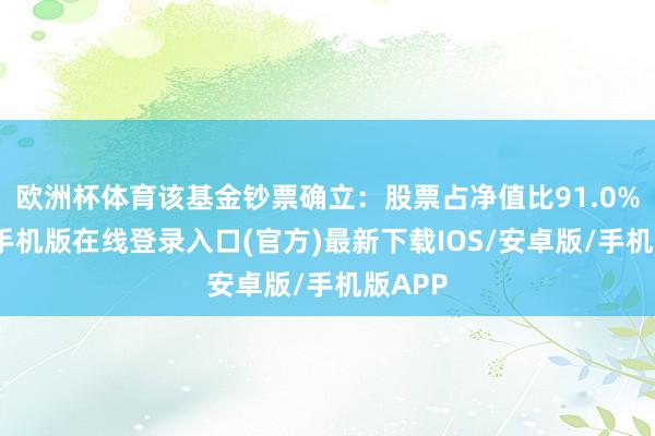 欧洲杯体育该基金钞票确立：股票占净值比91.0%-亚搏手机版在线登录入口(官方)最新下载IOS/安卓版/手机版APP