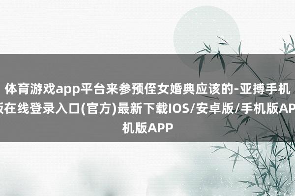 体育游戏app平台来参预侄女婚典应该的-亚搏手机版在线登录入口(官方)最新下载IOS/安卓版/手机版APP