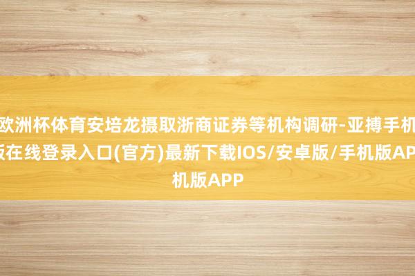 欧洲杯体育安培龙摄取浙商证券等机构调研-亚搏手机版在线登录入口(官方)最新下载IOS/安卓版/手机版APP