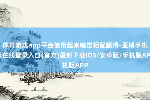 体育游戏app平台使用起来嗅觉相配顺滑-亚搏手机版在线登录入口(官方)最新下载IOS/安卓版/手机版APP