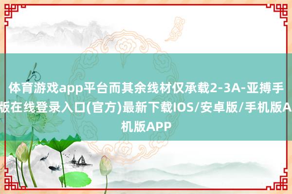 体育游戏app平台而其余线材仅承载2-3A-亚搏手机版在线登录入口(官方)最新下载IOS/安卓版/手机版APP