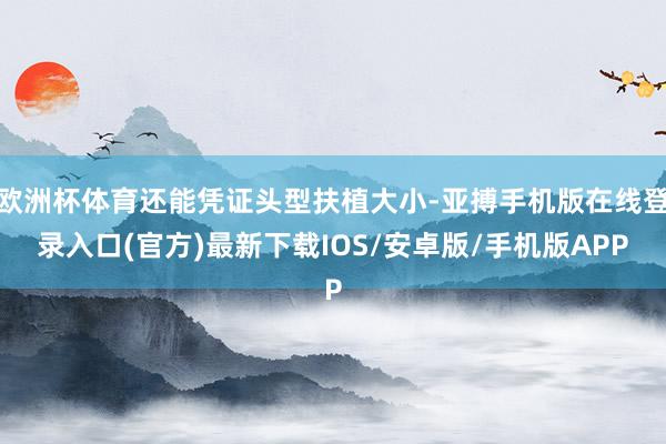 欧洲杯体育还能凭证头型扶植大小-亚搏手机版在线登录入口(官方)最新下载IOS/安卓版/手机版APP