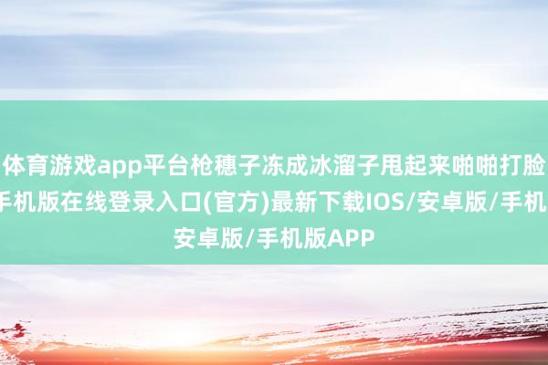 体育游戏app平台枪穗子冻成冰溜子甩起来啪啪打脸-亚搏手机版在线登录入口(官方)最新下载IOS/安卓版/手机版APP