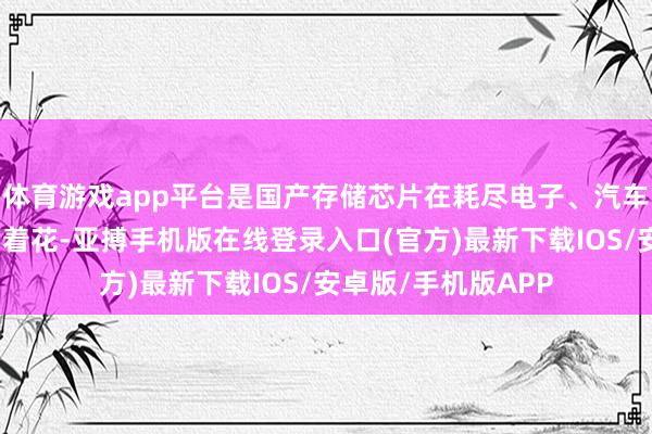 体育游戏app平台是国产存储芯片在耗尽电子、汽车电子等范畴的全面着花-亚搏手机版在线登录入口(官方)最新下载IOS/安卓版/手机版APP