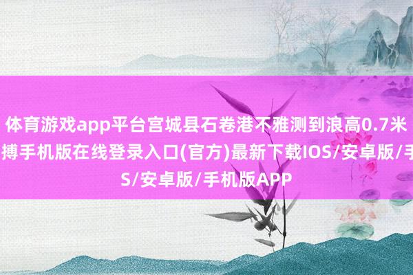 体育游戏app平台宫城县石卷港不雅测到浪高0.7米的海啸-亚搏手机版在线登录入口(官方)最新下载IOS/安卓版/手机版APP